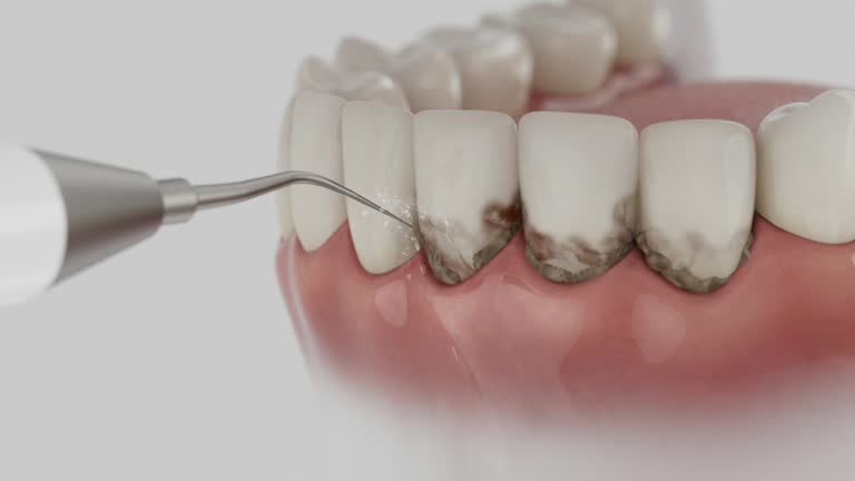 Reliable Dental contractor in Kent City, MI by Dentist Open Now